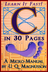 C In 30 Pages Cover